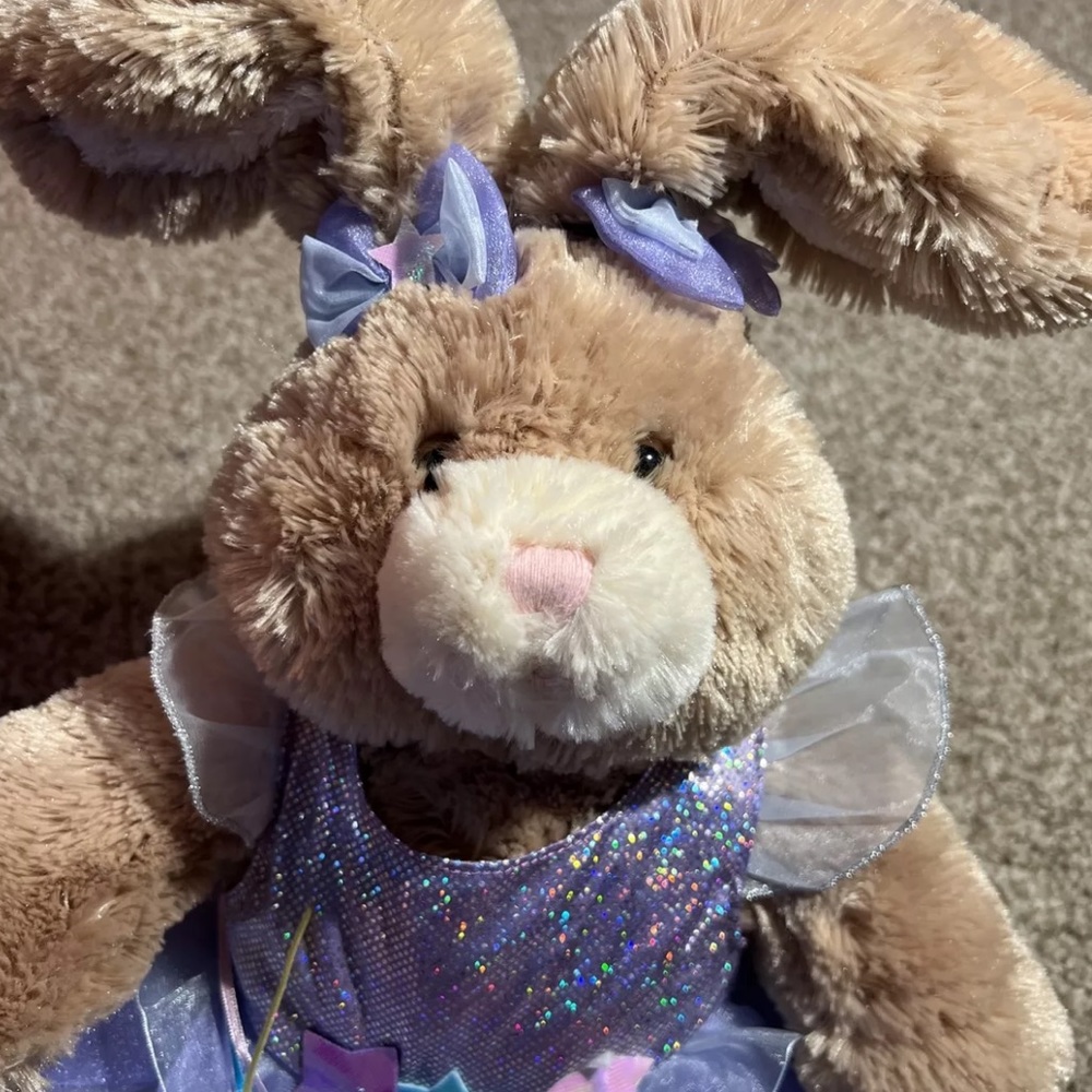 Build-A-Bear Bunny with Costume - BAB Rabbit - Fairy